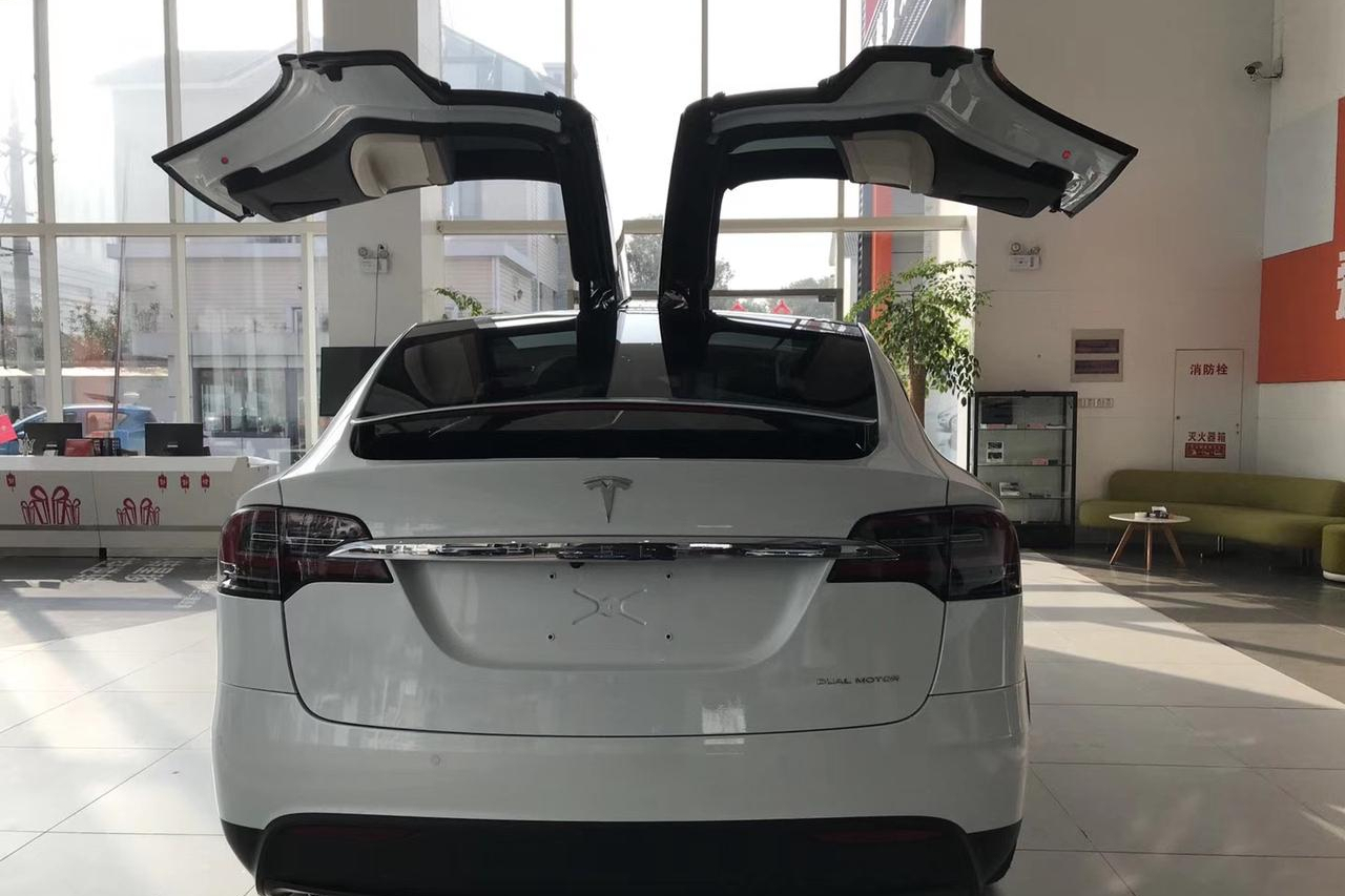 MODEL X 2019款 购车1个月内 口碑评价