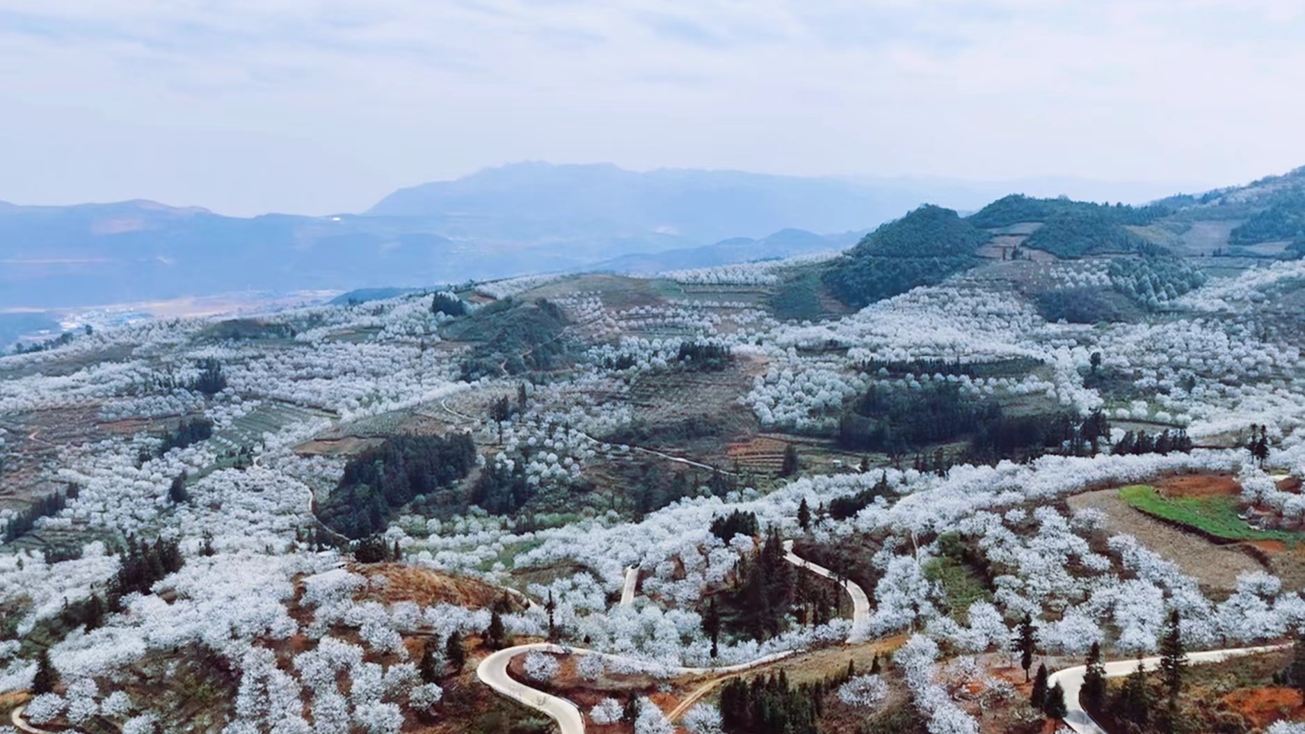 享盡最美春之旅云南加級(jí)寨梨花谷