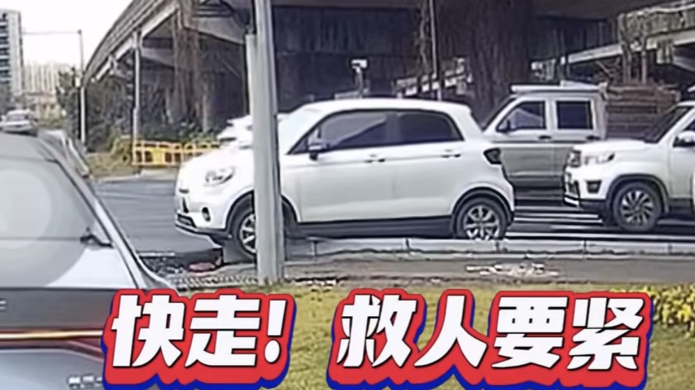 零跑車主被獎勵C10一臺