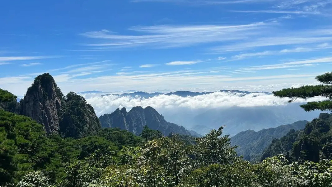 汽车行业的“卷”就是恶性竞争? 如此理解 是你太狭隘了